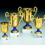 plaket_madalya_madalyon_baskilar_Metal_Plaket_8
